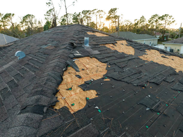 Professional Roofing service in Benton, KY